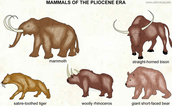 Pliocene